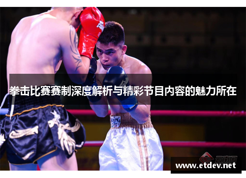 拳击比赛赛制深度解析与精彩节目内容的魅力所在