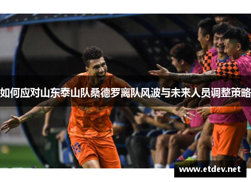 如何应对山东泰山队桑德罗离队风波与未来人员调整策略
