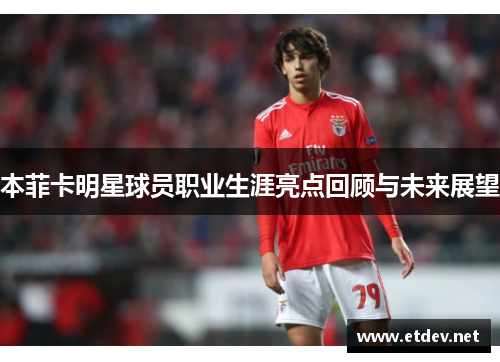 本菲卡明星球员职业生涯亮点回顾与未来展望