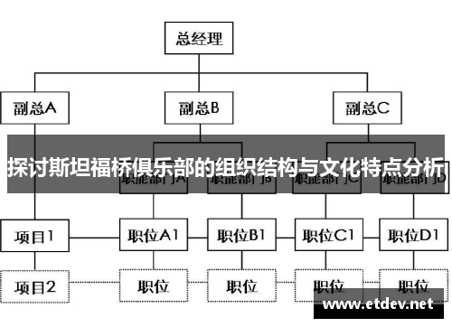 探讨斯坦福桥俱乐部的组织结构与文化特点分析 探讨斯坦福桥俱乐部的组织结构与文化特点分析